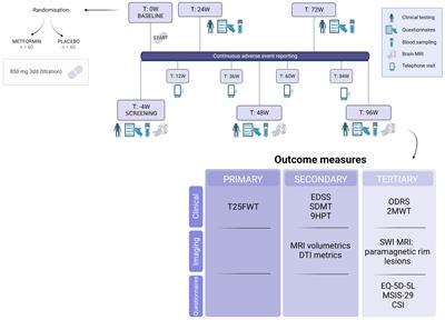 A metformin add-on clinical study in multiple sclerosis to evaluate brain remyelination and neurodegeneration (MACSiMiSE-BRAIN): study protocol for a multi-center randomized placebo controlled clinical trial